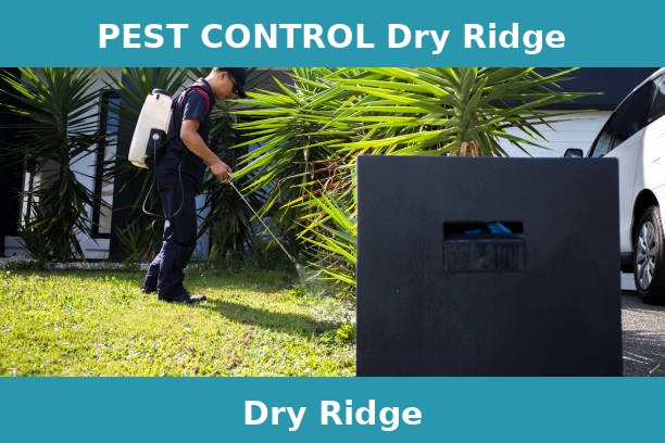 PEST CONTROL Dry Ridge